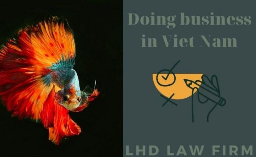 SETTING UP BUSINESS IN VIETNAM